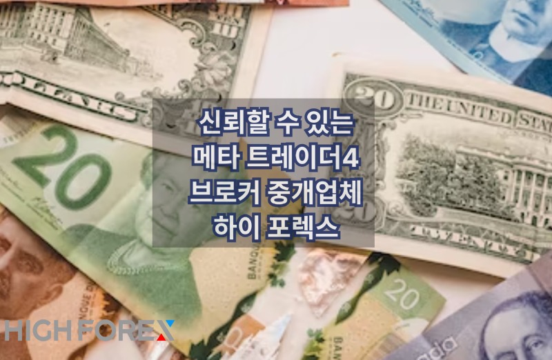 Image-seo-하이포렉스 (2).jpg