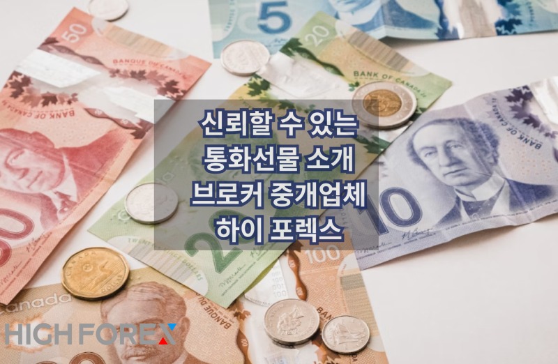 Image-seo-하이포렉스 (12).jpg