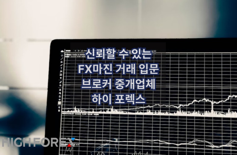 Image-seo-하이포렉스 (27).jpg