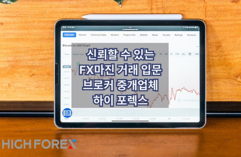 Image-seo-하이포렉스 (28).jpg