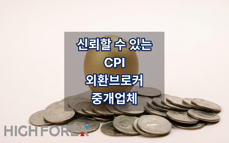 Image-seo-하이포렉스 (28).jpg