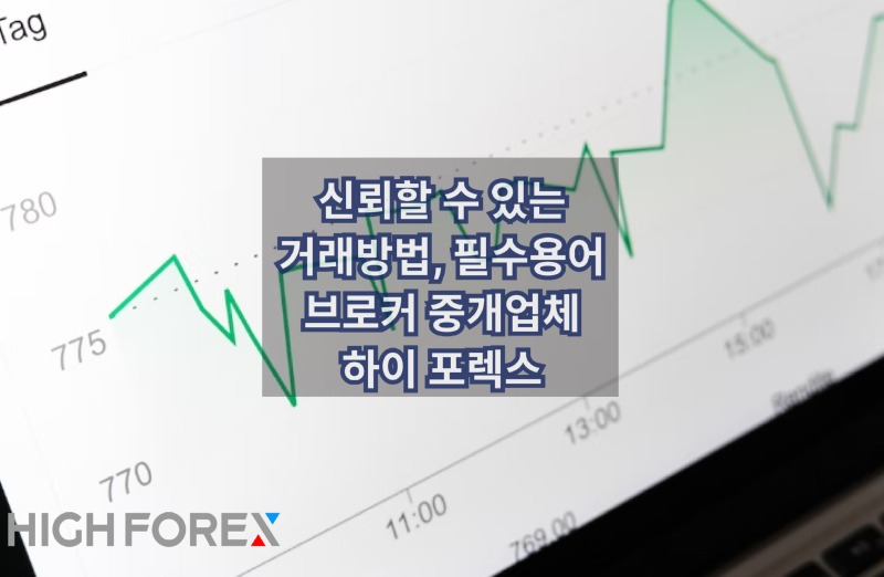 Image-seo-하이포렉스 (32).jpg