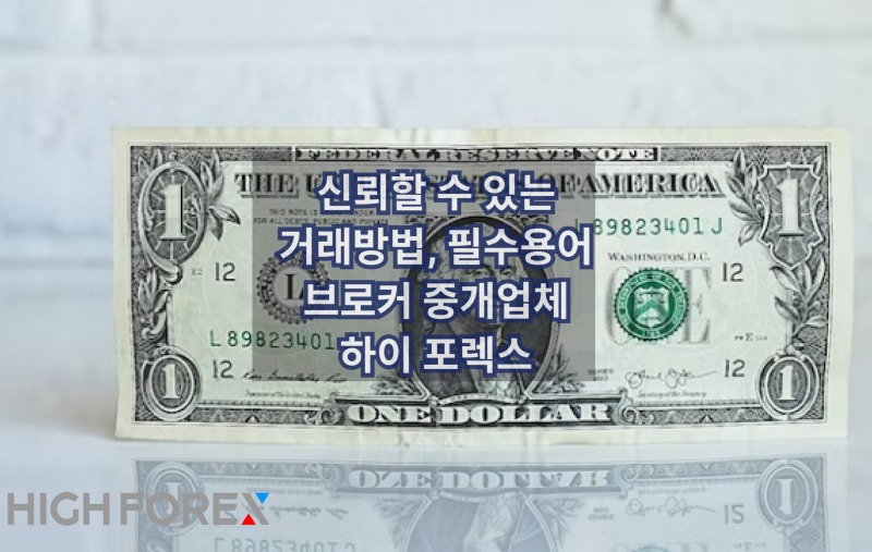 Image-seo-하이포렉스 (34).jpg