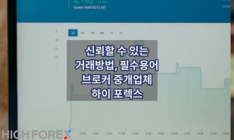 Image-seo-하이포렉스 (36).jpg