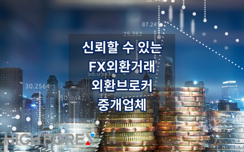 Image-seo-하이포렉스 (4).jpg