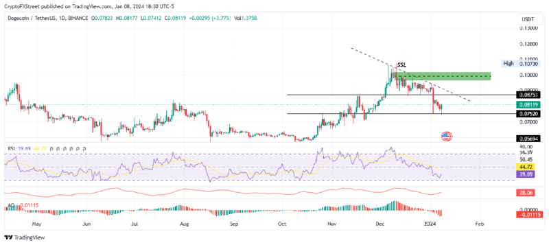 DOGE_2024-01-09 02.png